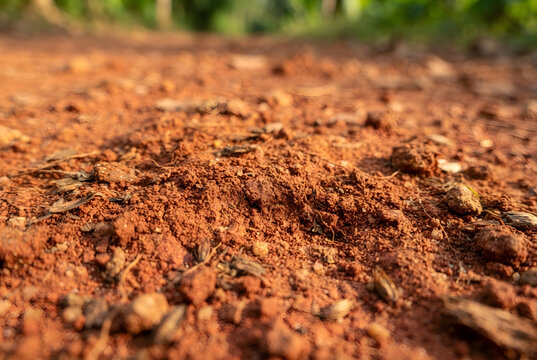 Macro view of textured red clay soil from a rural village path