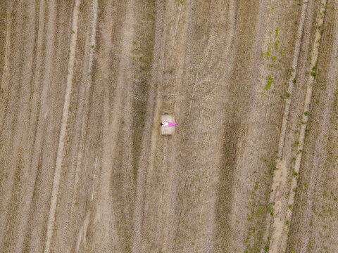 Aerial view of a woman in a pink dress lying on a hay bale in a harvested field in Latvia.