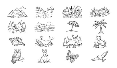 Fototapeta premium Hand Drawn Nature Doodle Icons for Mountains Forests Beaches and Wildlife