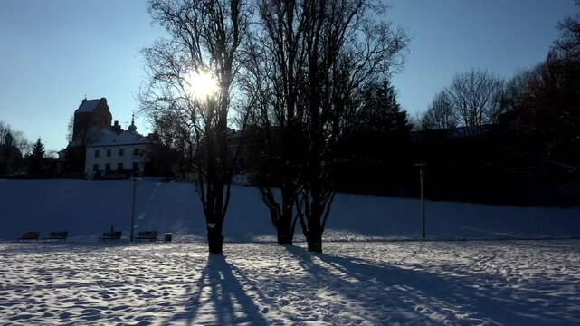 Tracking shot through a snow covered winter park with bare trees. Bright sunlight casts long shadows across the snowy ground beneath a clear blue sky.