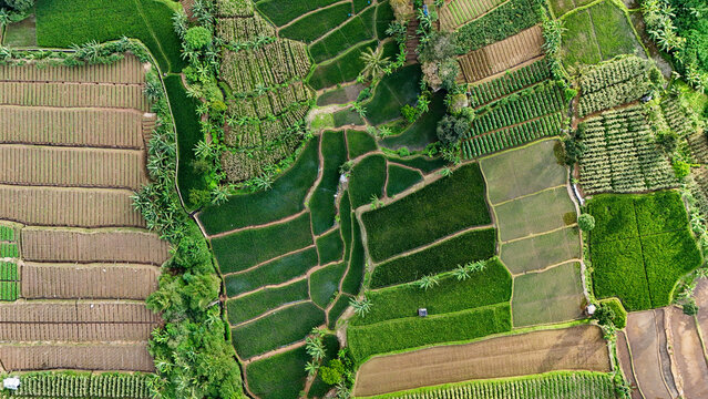 Aerial view of lush green rice terraces and agricultural fields with varied textures and patterns in Sukabumi Regency, West Java, Indonesia.