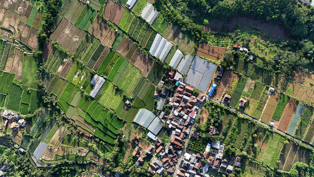 Aerial view of agricultural fields, greenhouses, and a small village in Sukabumi Regency, West Java, Indonesia.