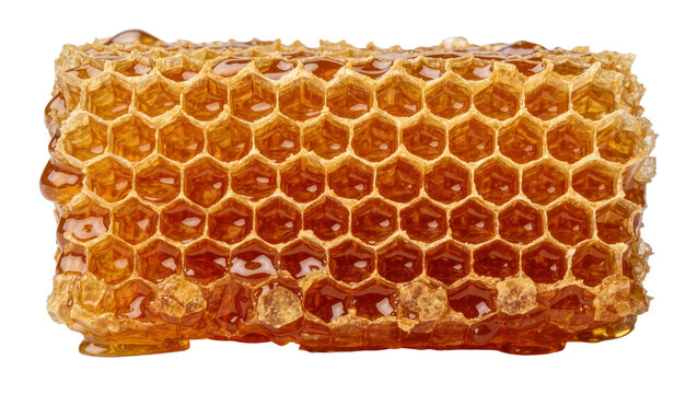 Golden honeycomb segment filled with viscous amber honey, isolated on transparent background
