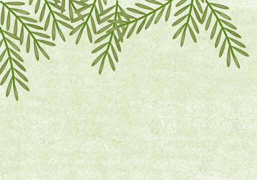 Plant soft green background. Concept with nature, tree, leaf, green, white. For design, wallpaper, background, invitation, card, brochure, banner, pattern, wrapping paper, presentation, room