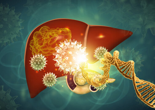 Virus infection attacking human liver anatomy integrated with a DNA strand on a scientific digital background