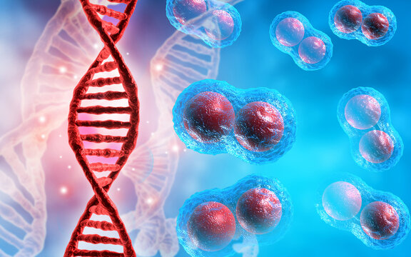 Glowing DNA double helix strand weaving through a cluster of microscopic human cells on an abstract scientific digital background.