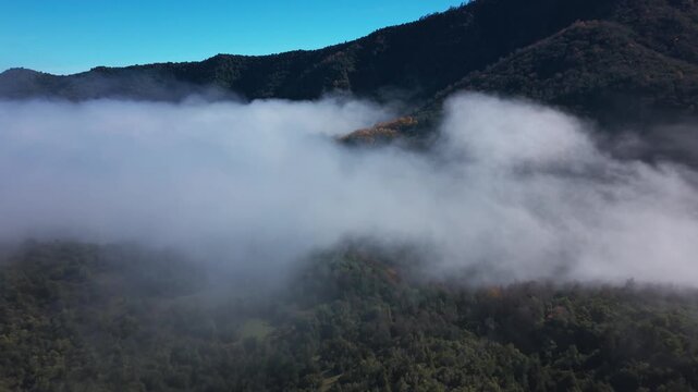 Aerial view of thick white fog rolling through a dense forested mountain valley with hints of orange autumn foliage glowing on distant shadowed ridges