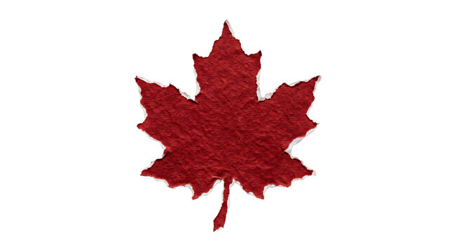 Maple leaf shape crafted from textured red paper is isolated on a clean transparent background.