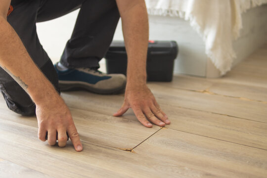Worker inspecting damaged laminate floor planks in a home, checking for gaps and chips, performing home maintenance and repair work on wood flooring
