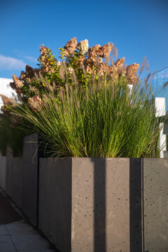 Modern concrete planter with ornamental grass on rooftop terrace under blue sky
