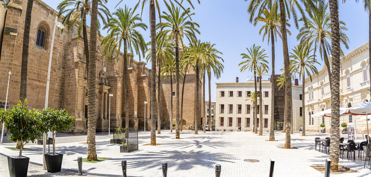 View of the historic Cathedral of Almeria surrounded by tall palm trees in a sunlit stone square in Almeria, Andalusia, Spain.