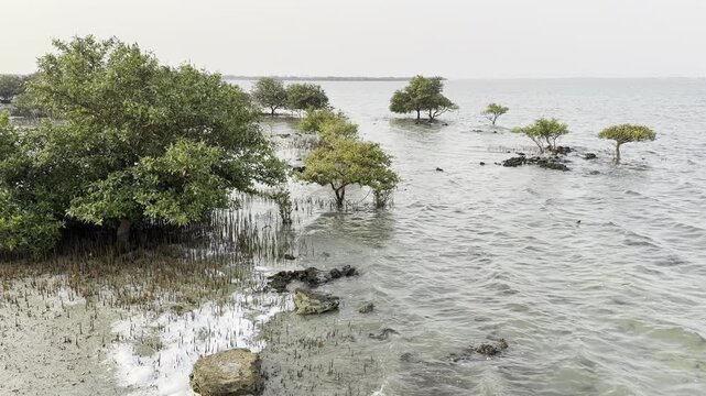 Al Khor, Qatar - September 11, 2026: Al Khor beach Purple island view Thakira, Qatar