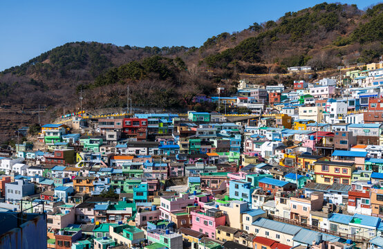 View of the colorful houses of Gamcheon Culture Village nestled on a hillside with vibrant architecture and narrow alleys in Busan, Busan, South Korea.