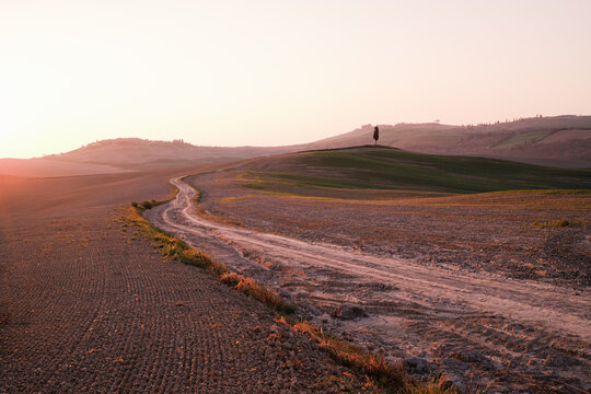 View of a winding dirt road leading through the rolling hills of the Val d'Orcia landscape at sunset with a solitary cypress tree on the horizon in Tuscany, Italy.
