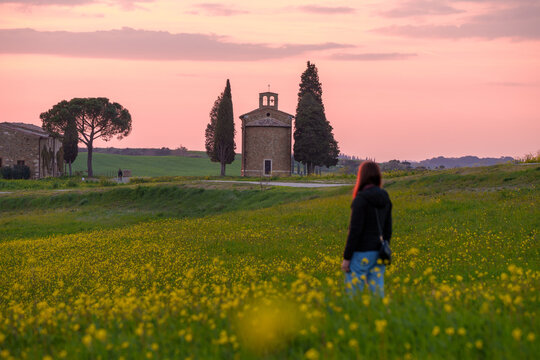 View of a woman standing in a field of yellow flowers looking towards a small stone chapel framed by cypress trees under a soft pink sunset in Tuscany, Italy.