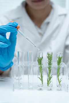 Scientist analyze biochemical samples in advanced scientific laboratory. Medical professional use dropper mix microbiological developmental of viral. Biotechnology research in  science lab. cosmetic