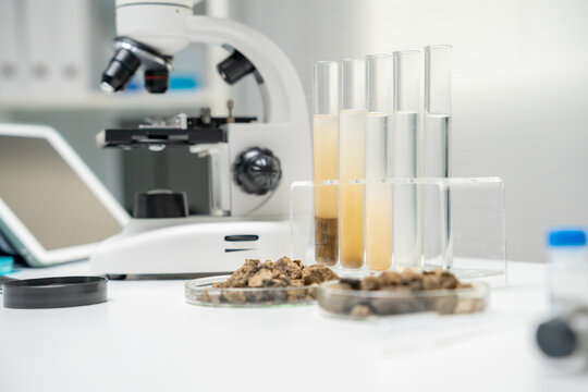 Geology, geological resource scientist, earth science, natural resource sustainability, soil minerals, laboratory testing, laboratory experiments, testing for chemical residues, Environmental science