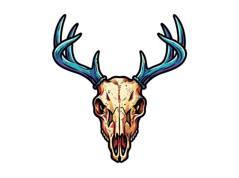 Deer skull antlers illustration
