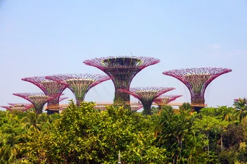 Supertree Grove and kyway at Gardens by the Bay rising above lush tropical greenery in Singapore © Nikolay N. Antonov