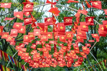 Multiple small Vietnamese flags and hammer-sickle banners strung on lines among green trees in Vietnam © Nikolay N. Antonov
