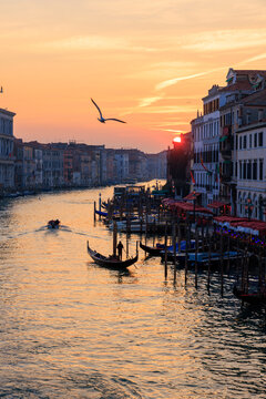 View of a gondolier rowing a gondola on the Grand Canal at sunset with historic buildings and a bird flying in the golden light in Venice, Veneto, Italy.