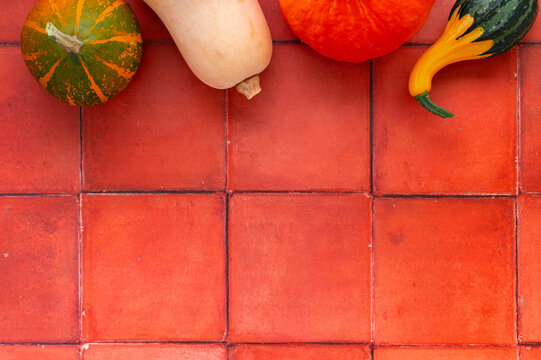 Autumn squash and pumpkins flat lay with copy space, Thanksgiving background