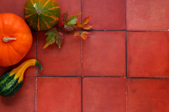 Autumn pumpkin flat lay with copy space, Halloween Thanksgiving background