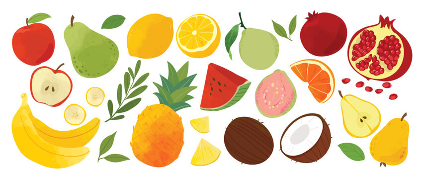 Fruit illustration collection. Vector apple, pear, lemon, orange, watermelon, guava, pomegranate, banana, coconut and tropical fruits with leaves for fresh food packaging.