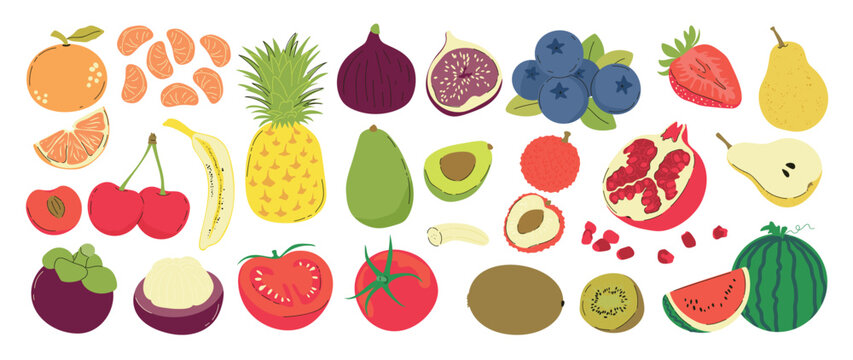 Fruit illustration collection. Vector orange, pineapple, fig, blueberry, strawberry, pear, banana, avocado, pomegranate, mangosteen and watermelon for colorful food design.