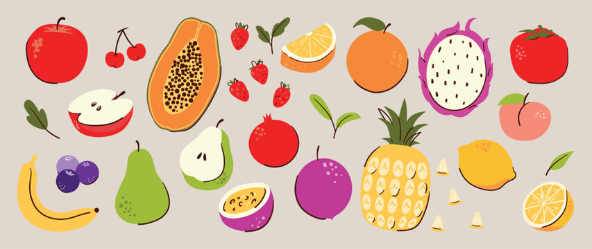 Fruit illustration collection. Vector apple, cherry, papaya, strawberry, orange, dragon fruit, pear, passion fruit, peach and citrus drawings for food packaging and menus.