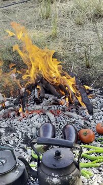 Vertical video of traditional campfire cooking with eggplants, peppers, and tomatoes roasting on hot embers while copper teapots boil in an epic mountain wilderness landscape