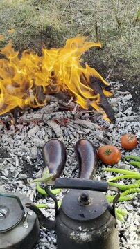 Rustic outdoor cooking scene featuring vegetables grilling on campfire embers and boiling teapots amidst a stunning natural wilderness and mountain scenery vertical stock video
