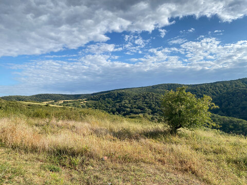 Rolling forested hills of Fruska Gora rise beyond a grassy meadow under a cloudy blue sky