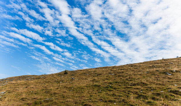Mountain landscape alp rocks and cirrocumulus cloud. Scenic alpine slope with mountain pine and blue cirrocumulus sky. Low angle mountain hill with evergreen bush under cirrocumulus sky