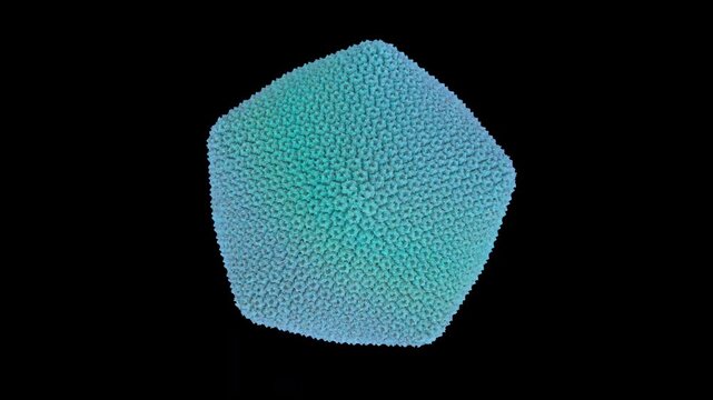 3D structure PBCV-1(Paramecium bursaria chlorella virus 1) capsid, giant chlorovirus encoding RNA-templated DNA ligase, host-dependent Phycodnaviridae primarily for gene engineering tools.