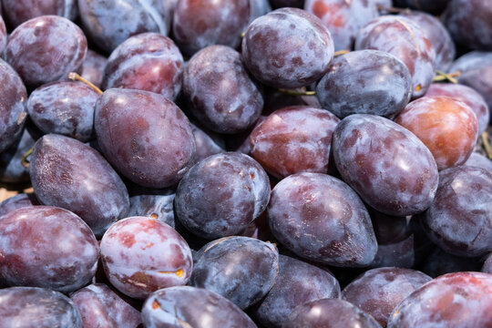 Fresh prune Plums Piled Together
