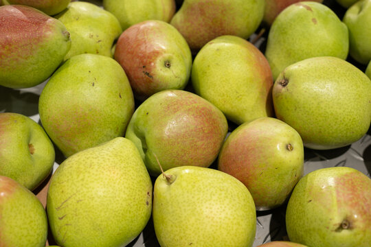 pile of ripe green and red pears stacked together