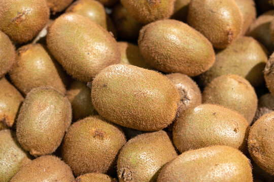 Fresh Kiwis Piled in Produce Display