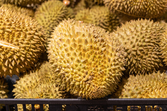 Pile of Fresh Durian Fruits in Market