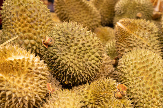 Pile of Fresh Durian Fruits in Market