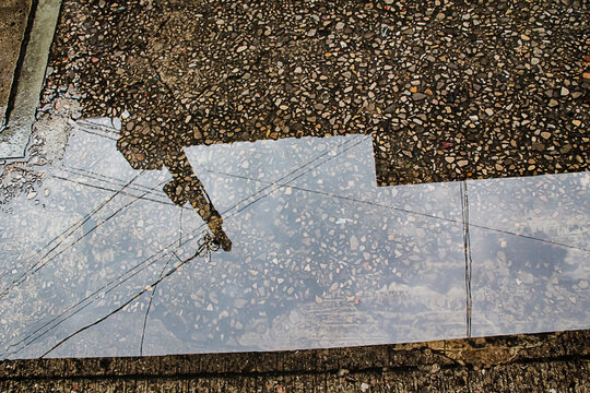 Abstract reflections of trees and sky on wet pavement