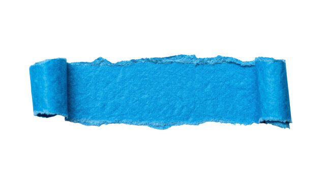 Torn blue paper strip with rolled edges, isolated on transparent background