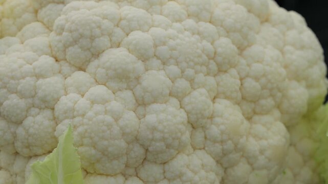 Close-up of premium quality fresh cauliflower curd