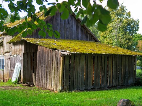 Old weathered wooden barn with a vibrant green mossy roof in a rural countryside setting - Traditional rustic timber shed with a moss-covered roof storing firewood on a country farm