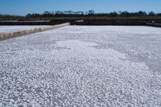  white sea salt crystals forming in evaporation pan at traditional salt marsh