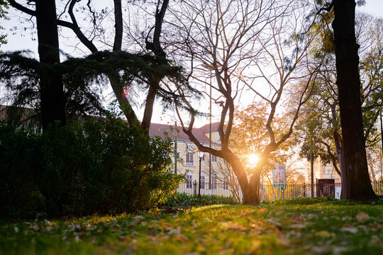 A serene park scene at sunset, featuring trees and a grassy area. The sun is setting behind a building, casting warm light and shadows. The atmosphere is calm and peaceful, ideal for relaxation.