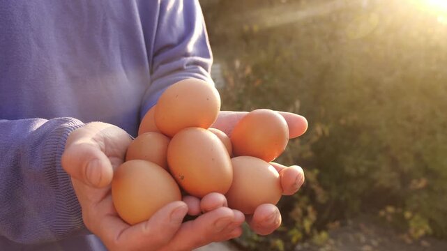 Farmer Holding Fresh Eggs