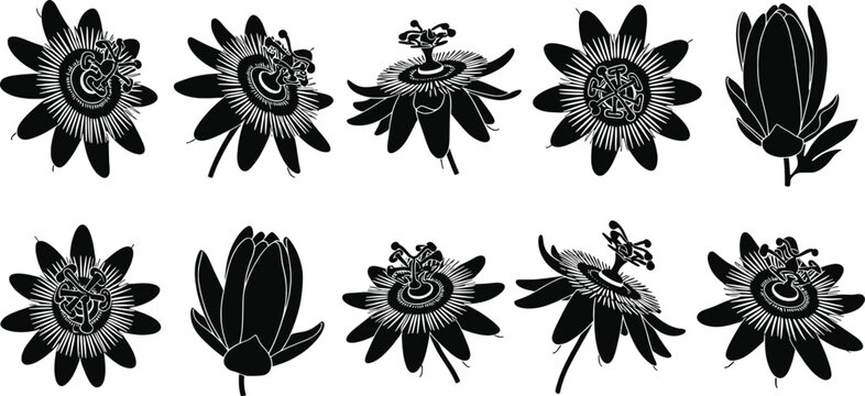Passion flower silhouette vector set, botanical bloom icons, floral artwork collection, decorative garden graphics, nature illustration design symbols