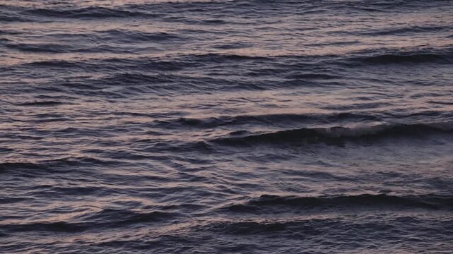 Calm dark sea water with small waves gently moving and reflecting the pink and orange light of the sunset or dawn before sunrise on a beach. Relaxing and meditative scenic background