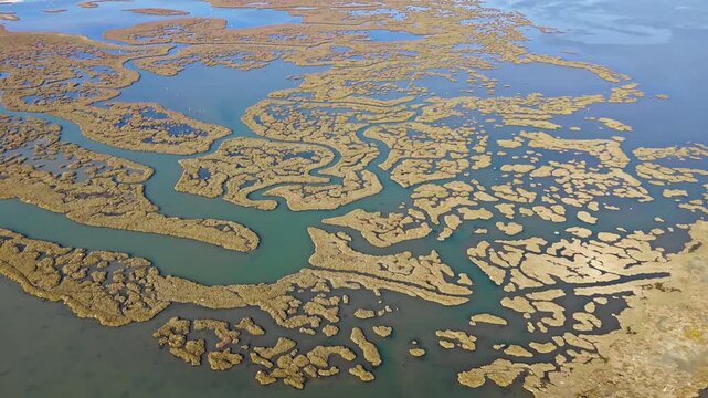 Aerial view of coastal wetland with winding lagoon channels and salt marsh vegetation. Abstract natural pattern of shallow water and marsh islands
